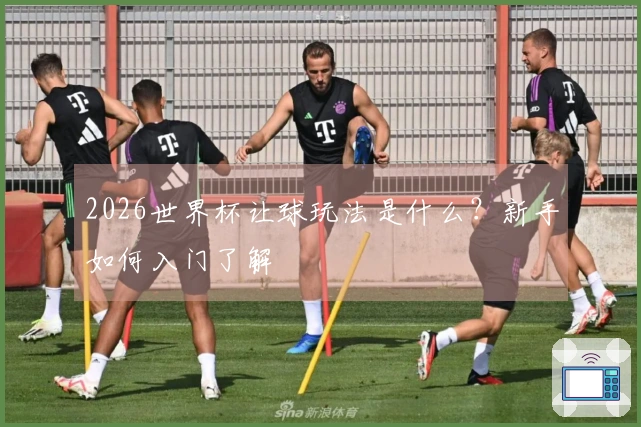 2026世界杯让球玩法是什么？新手如何入门了解