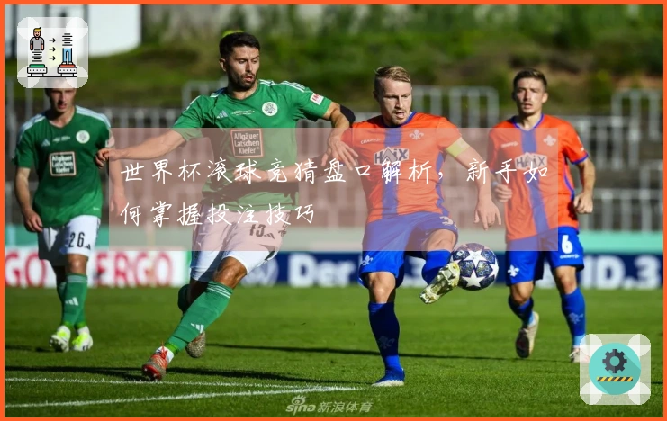 世界杯滚球竞猜盘口解析，新手如何掌握投注技巧