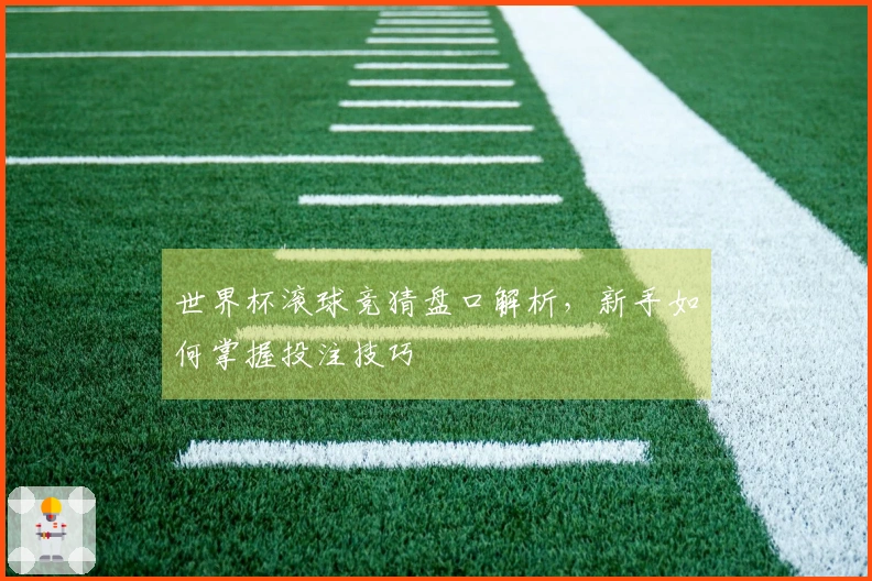 世界杯滚球竞猜盘口解析，新手如何掌握投注技巧