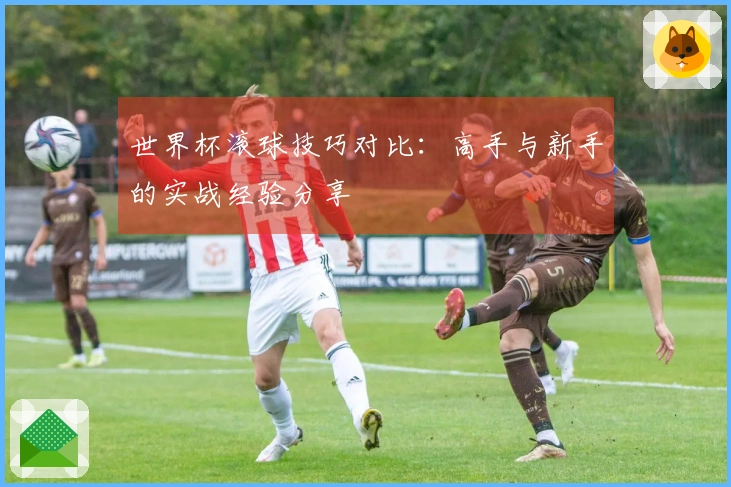 世界杯滚球技巧对比：高手与新手的实战经验分享
