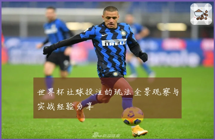 世界杯让球投注的玩法全景观察与实战经验分享